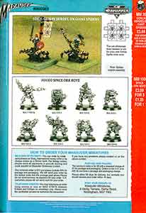 Marauder MM35 Goblin Heroes on Giant Spiders / MM100 Space Boyz