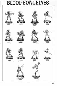 Blood Bowl Elves