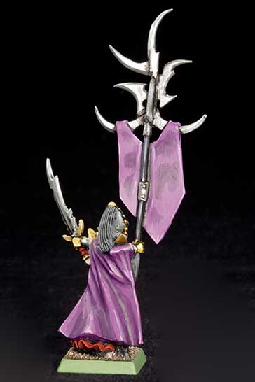 Dark Elf Army Standard Bearer