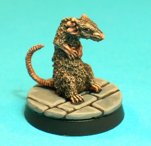 Pose 1. This medium-sized rat is sitting up on its haunches, and has a badly damaged right ear.   Pose 1. This medium-sized rat is sitting up on its haunches, and has a badly damaged right ear.