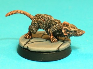 Pose 2. This is another medium-sized rat, running forwards with its tail extended. It has a notched right ear and a couple of bald patches in its fur. Pose 2. This is another medium-sized rat, running forwards with its tail extended. It has a notched right ear and a couple of bald patches in its fur.