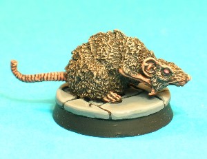 Pose 4. This is the largest of the four rats, depicted creeping forwards with a wary look on his ratty little face. Pose 4. This is the largest of the four rats, depicted creeping forwards with a wary look on his ratty little face.